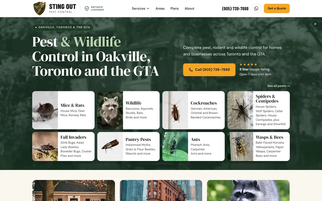 The Sting Out Pest Control homepage at desktop width